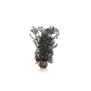 BiOrb Black Sea Fan - Small - Charterhouse Aquatics