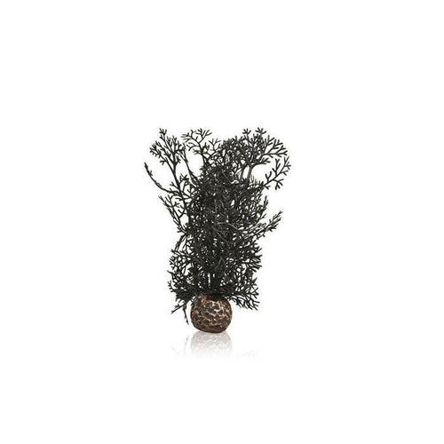 BiOrb Black Sea Fan - Small - Charterhouse Aquatics