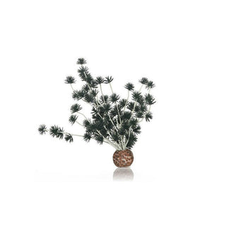 Biorb Bonsai Ball Black - Charterhouse Aquatics