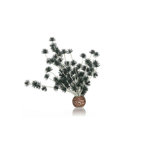 Biorb Bonsai Ball Black - Charterhouse Aquatics