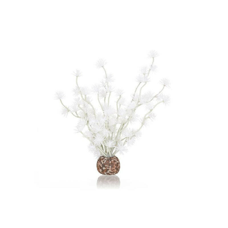 Biorb Bonsai Ball White - Charterhouse Aquatics