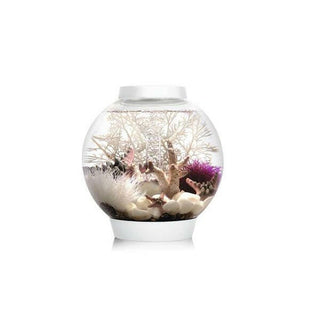Biorb Classic 15 LED - White - Charterhouse Aquatics