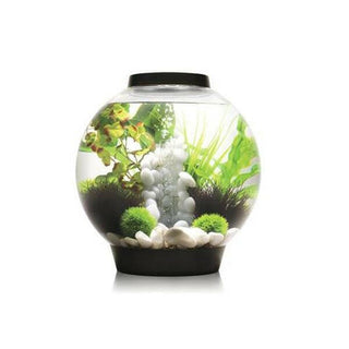 biOrb CLASSIC 30 LED - Black - Charterhouse Aquatics
