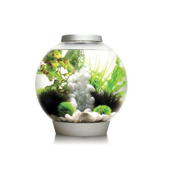 biOrb CLASSIC 30 LED - Silver - Charterhouse Aquatics