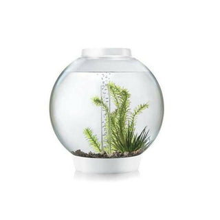 biOrb CLASSIC 30 LED - White - Charterhouse Aquatics