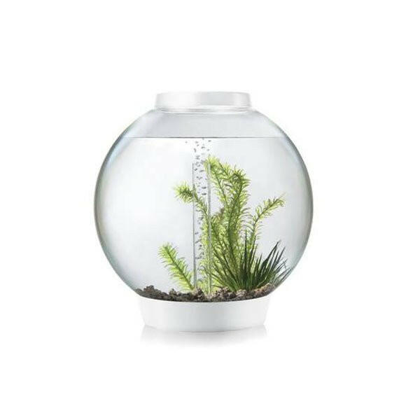 biOrb CLASSIC 30 MCR - White - Charterhouse Aquatics