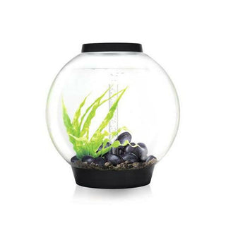 biOrb CLASSIC 60 MCR - Black - Charterhouse Aquatics