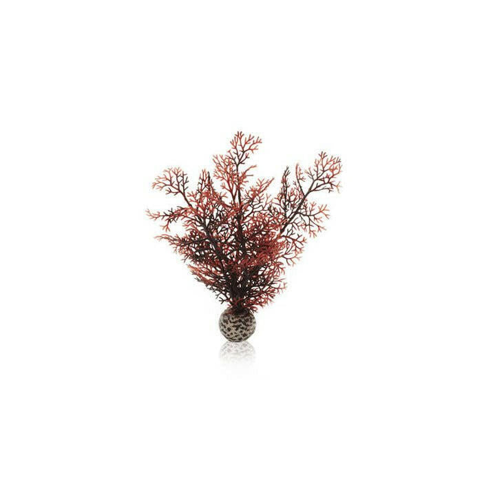 BiOrb Crimson Sea Fan - Small - Charterhouse Aquatics