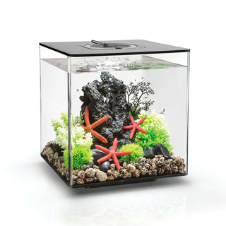 Biorb Cube 30 Black - MCR - Charterhouse Aquatics