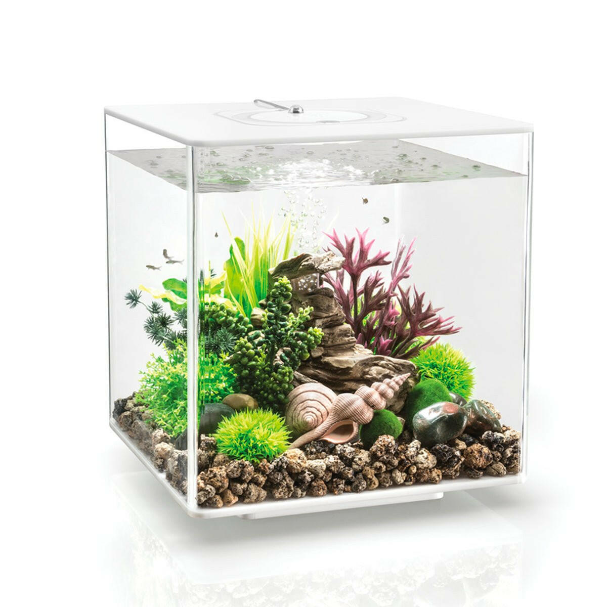 Biorb Cube 30 White - MCR - Charterhouse Aquatics