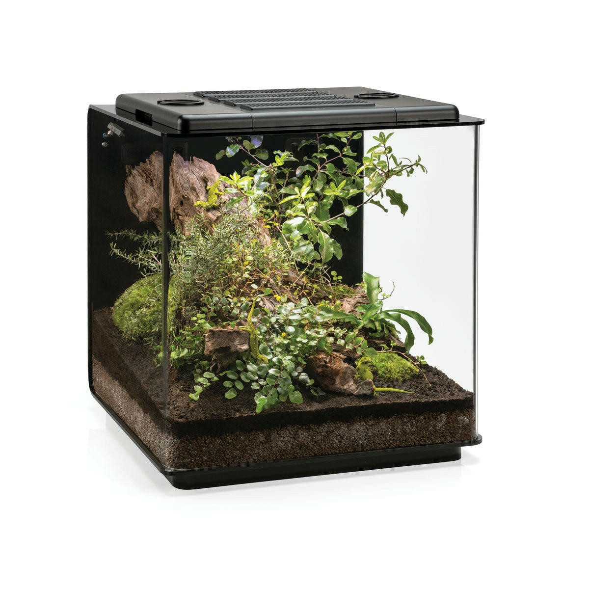 biOrb EARTH 125 - Charterhouse Aquatics