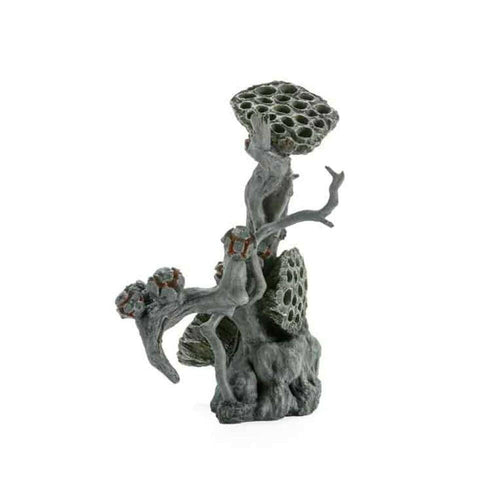Biorb Earth Large Lotus Seedpod on Root Decoration - Charterhouse Aquatics
