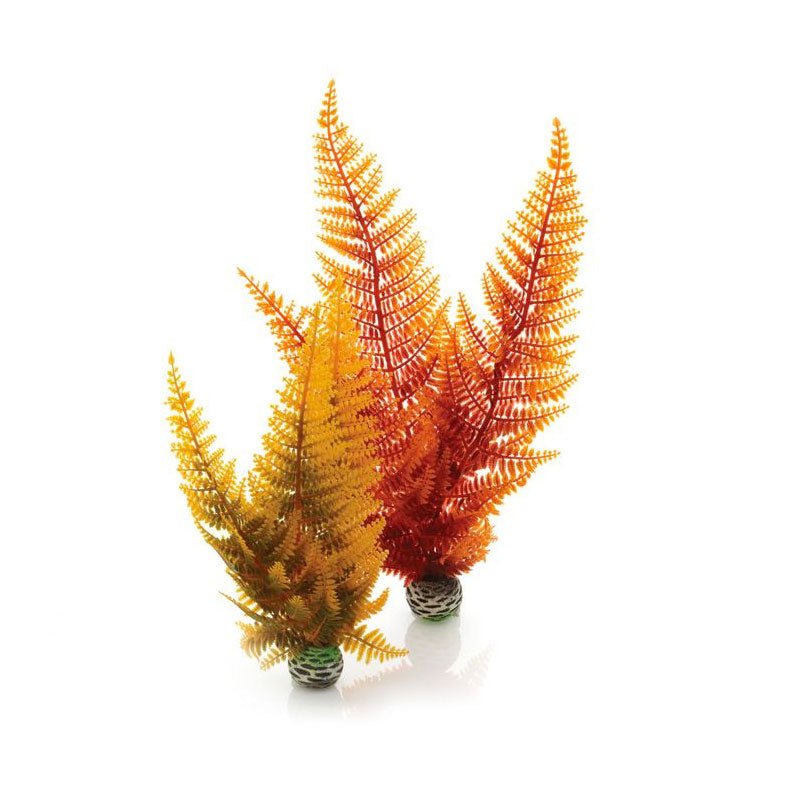 BiOrb Easy Plants - Autumn Fern (Medium x 2) - Charterhouse Aquatics