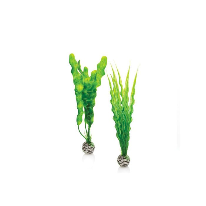 BiOrb Easy Plants - Green (Medium x2) - Charterhouse Aquatics