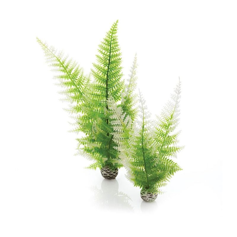 BiOrb Easy Plants - Winter Fern (Medium x 2) - Charterhouse Aquatics