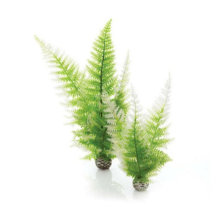 BiOrb Easy Plants - Winter Fern (Medium x 2) - Charterhouse Aquatics