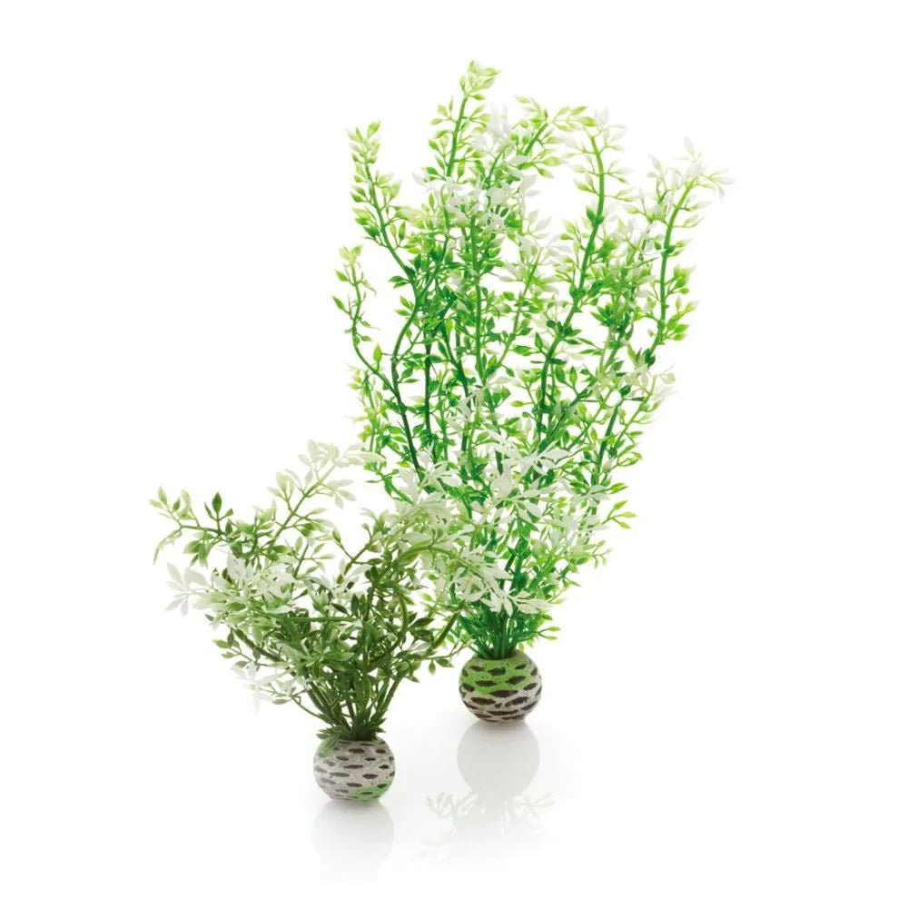 BiOrb Easy Plants - Winter Flowers (Medium x 2) - Charterhouse Aquatics