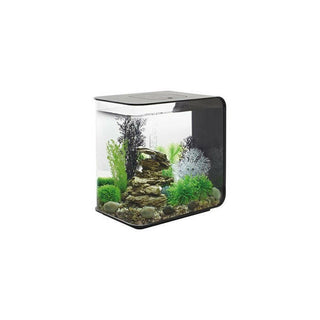 BiOrb Flow 15 MCR - Black - Charterhouse Aquatics