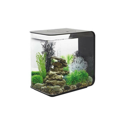 BiOrb Flow 30 MCR - Black - Charterhouse Aquatics