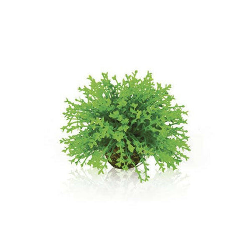 Biorb flower ball - Charterhouse Aquatics