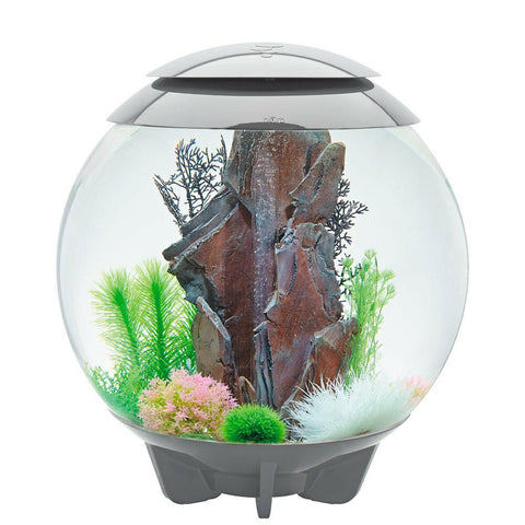 biOrb HALO 60 MCR - Grey - Charterhouse Aquatics