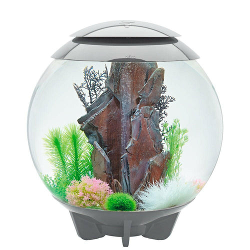 biOrb HALO 60 MCR - Grey - Charterhouse Aquatics