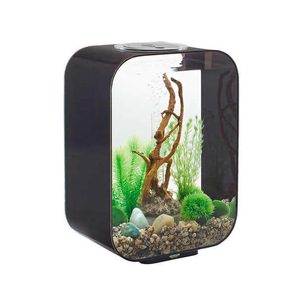 biOrb LIFE 15 LED - Black - Charterhouse Aquatics