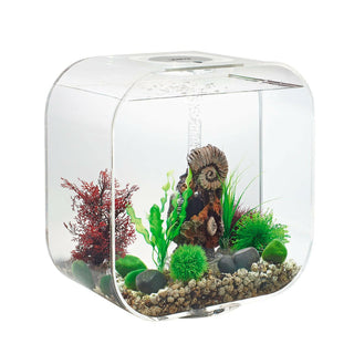 Biorb Life 30 MCR - Clear - Charterhouse Aquatics