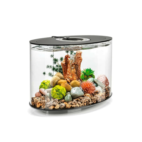 Biorb Loop 15 Black - MCR - Charterhouse Aquatics