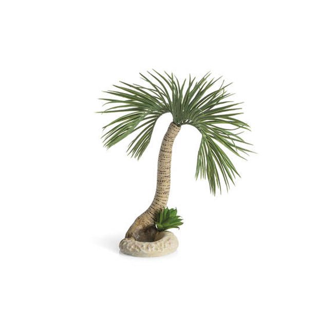 Biorb Palm Tree Seychelles - Large.
