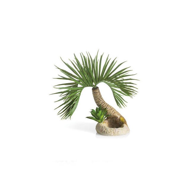 Biorb Palm Tree Seychelles - Small