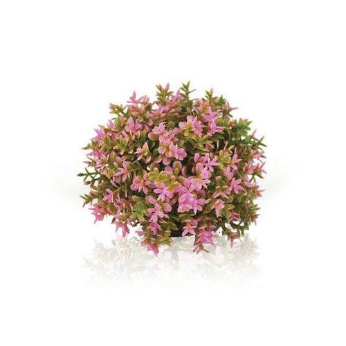Biorb Pink flower Ball.