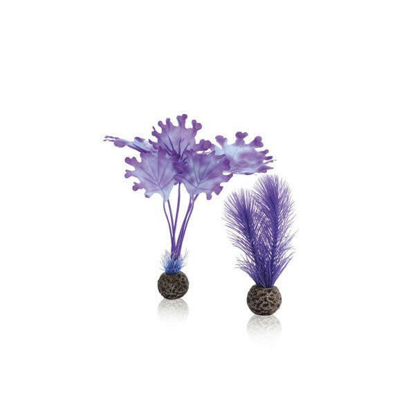 Biorb Purple Kelp Set - Small.