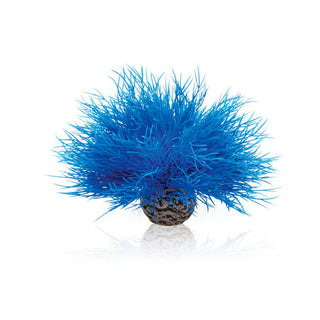 BiOrb Sea Lily - Blue.
