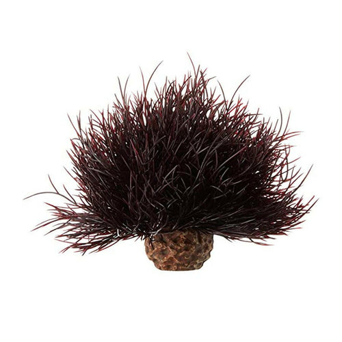 BiOrb Sea Lily - Crimson.