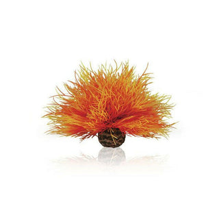 BiOrb Sea Lily - Flame.