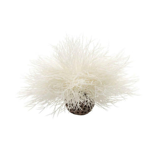 BiOrb Sea Lily - White.
