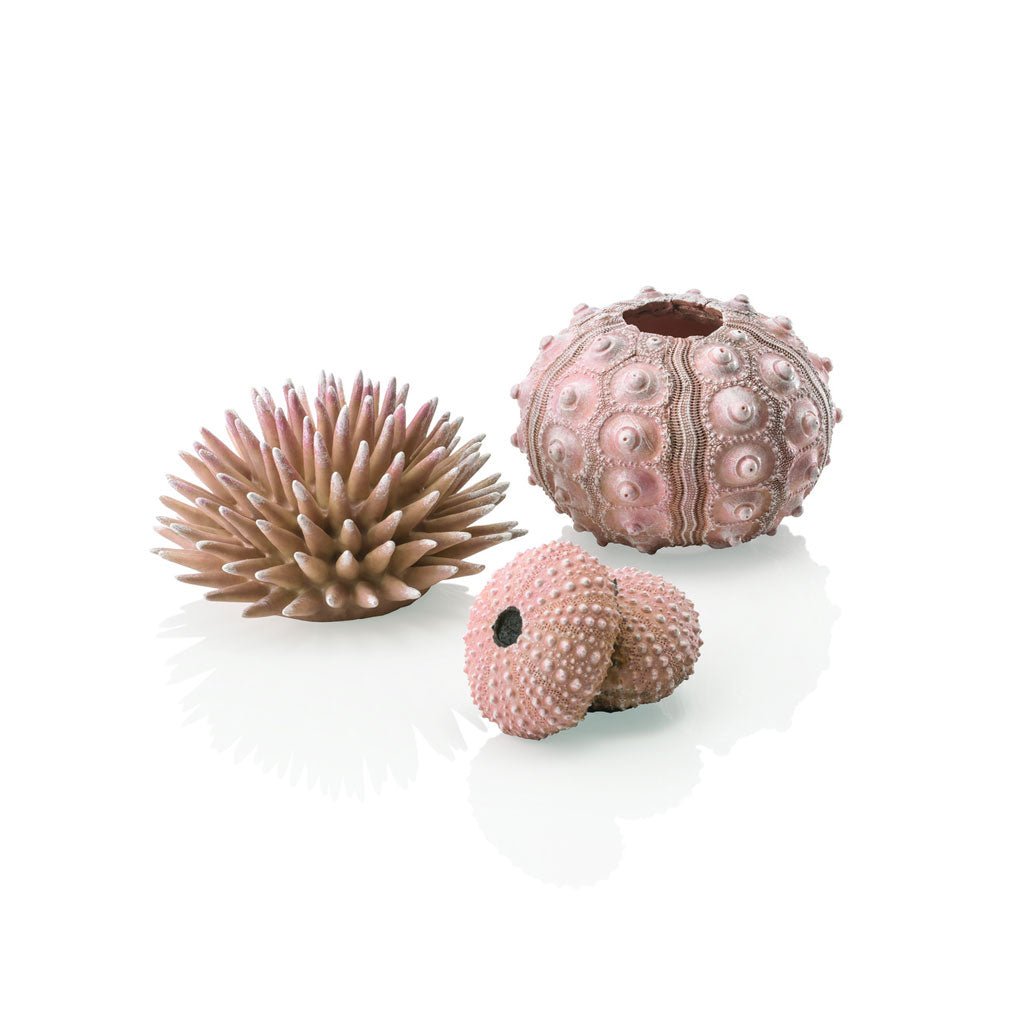 Biorb Sea Urchins Natural (x3)