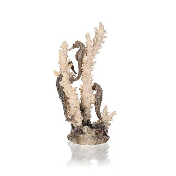 Biorb Seahorses on Coral (Natural) - Medium