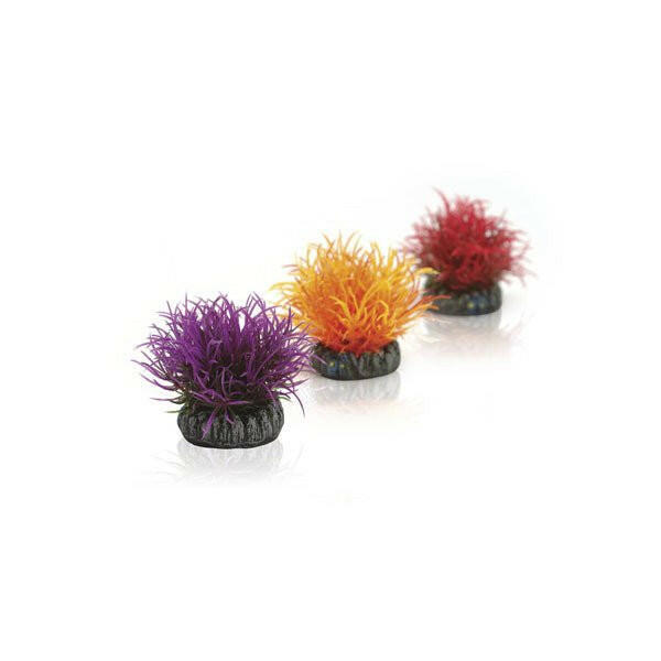 BiOrb Small Color Balls (x3).