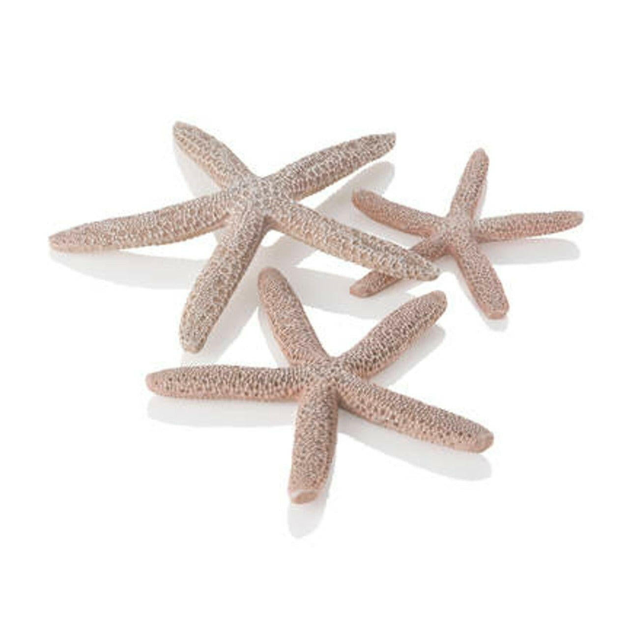 Biorb Starfish Natural