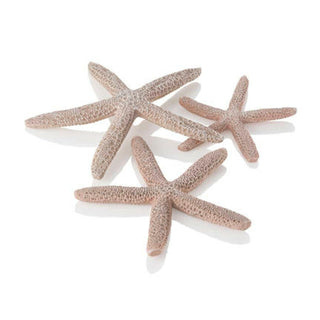 Biorb Starfish Natural.
