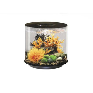 Biorb Tube 15 LED - Black - Charterhouse Aquatics