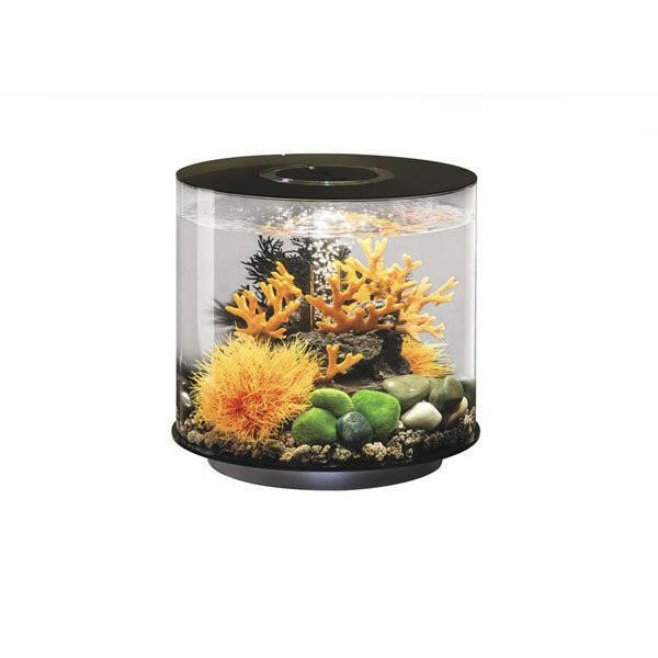 Biorb Tube 15 LED - Black - Charterhouse Aquatics