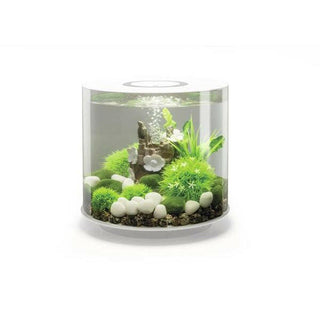 Biorb Tube 15 LED - White - Charterhouse Aquatics