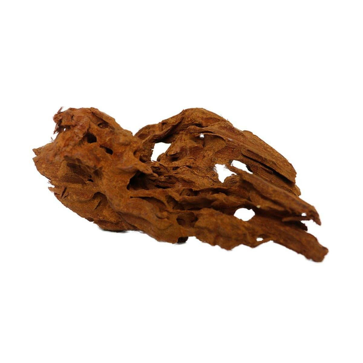 Bog Wood - 10-15cm - Charterhouse Aquatics