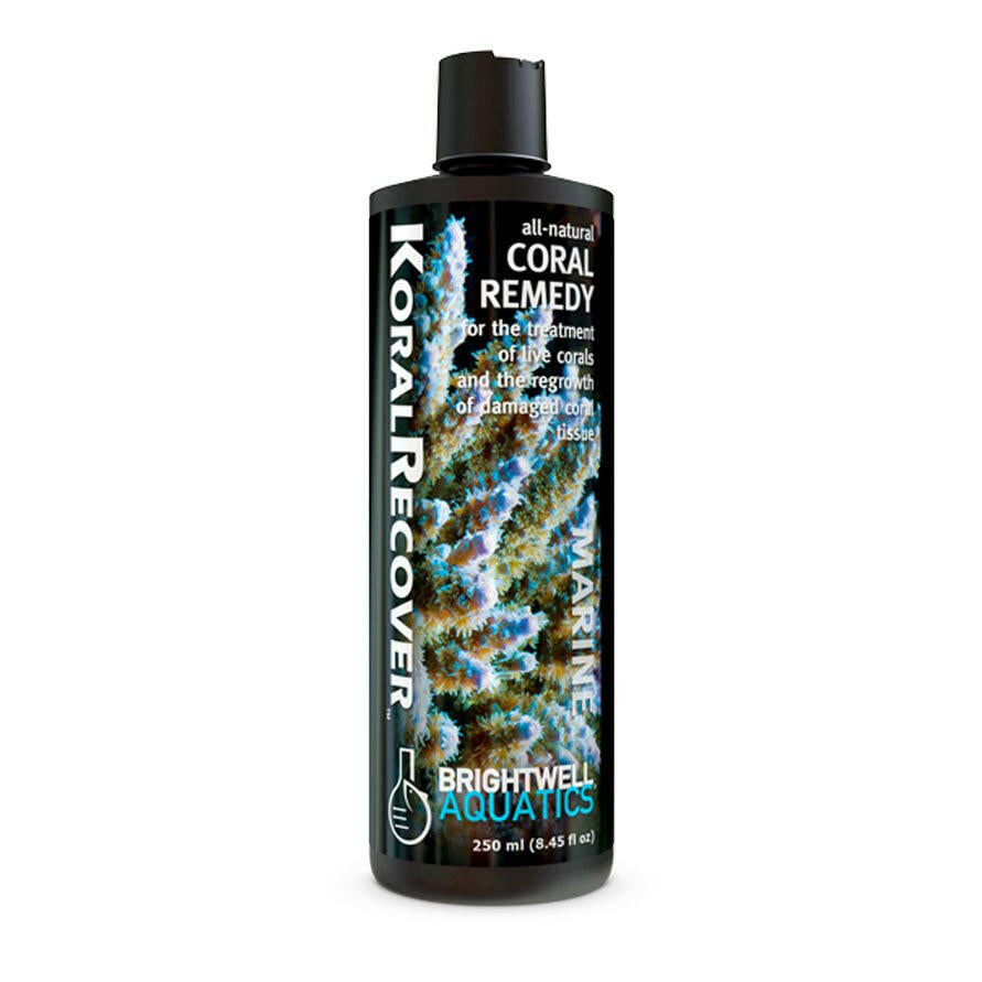 Brightwell Koral Recover 125ml - Charterhouse Aquatics