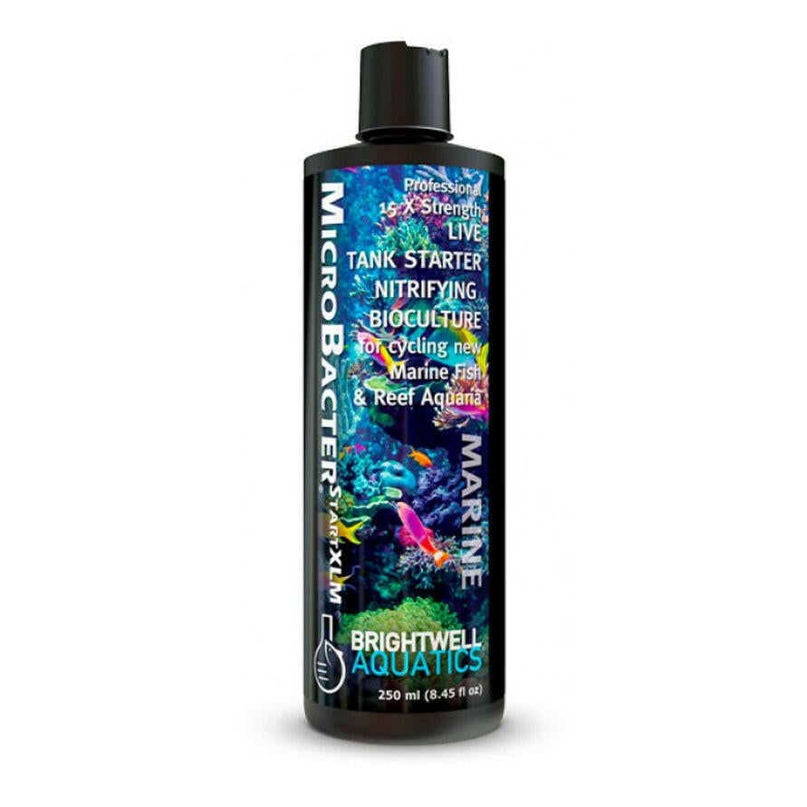 Brightwell MicroBacter Start XLM 500ml - Charterhouse Aquatics