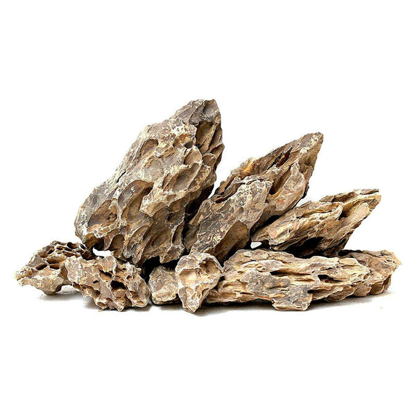 Brown Holey - Dragon Stone 20Kg Box - Charterhouse Aquatics