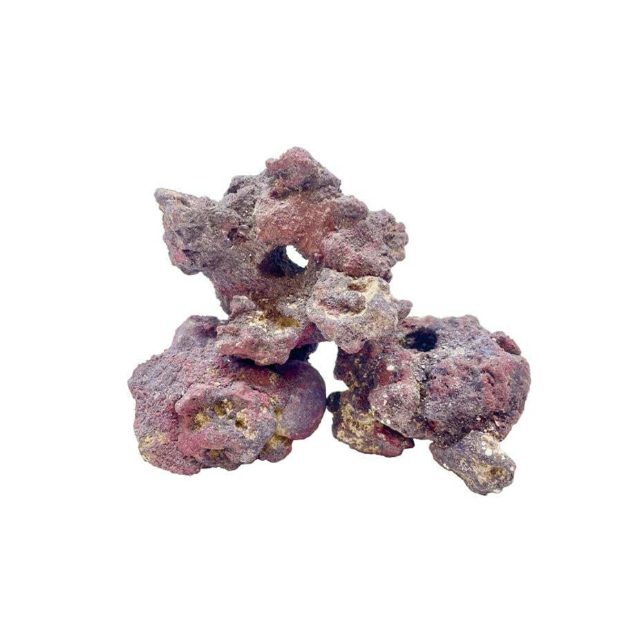 Caribsea Life Rock Fraggerz (10 Pack) - Charterhouse Aquatics